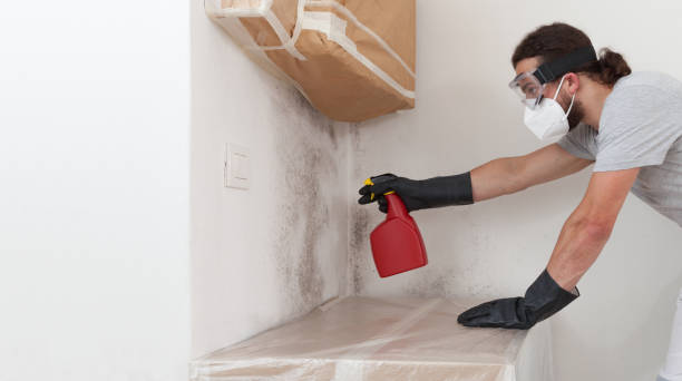 Professional Mold Inspection technician working in Baldwin, MI