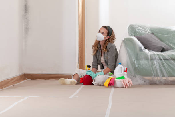 Reliable Mold Inspection contractor in Baldwin, MI by WQB Mold Removal